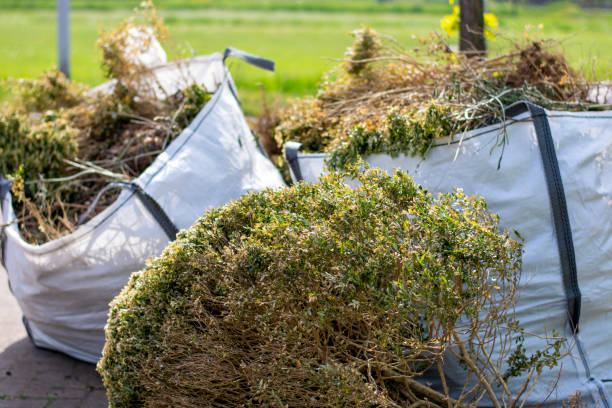 Best Dumpster Rental Services  in Belle Plaine, KS